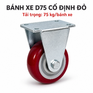 d75-co-dinh-dan-huong